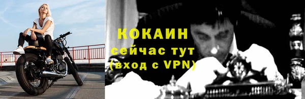 гидра Арсеньев