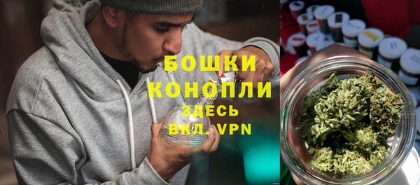 гидра Арсеньев