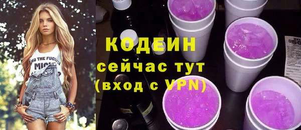 гидра Арсеньев