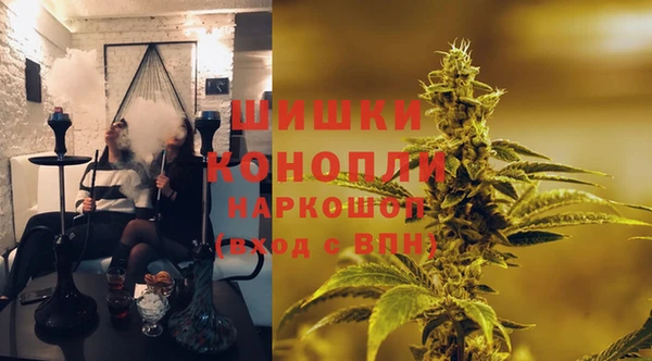 гидра Арсеньев