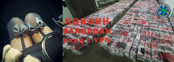 гидра Арсеньев